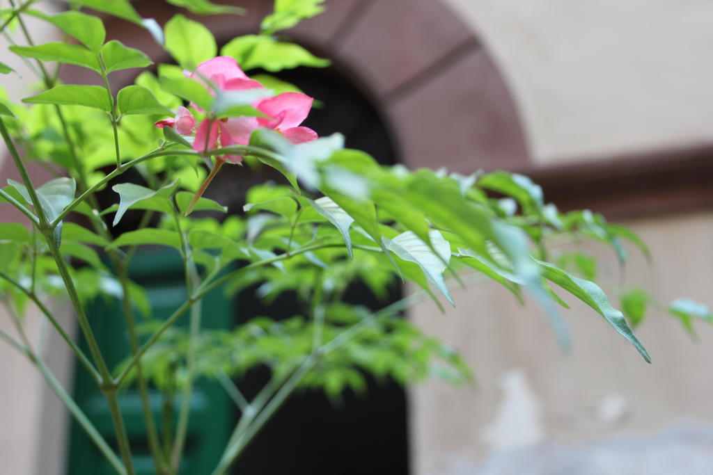 Abaco Bed & Breakfast Rom Exterior foto